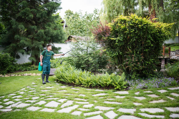 Best Affordable Pest Control Services  in Knob Noster, MO