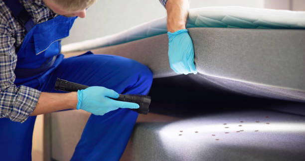Best Best Pest Control Companies  in Knob Noster, MO